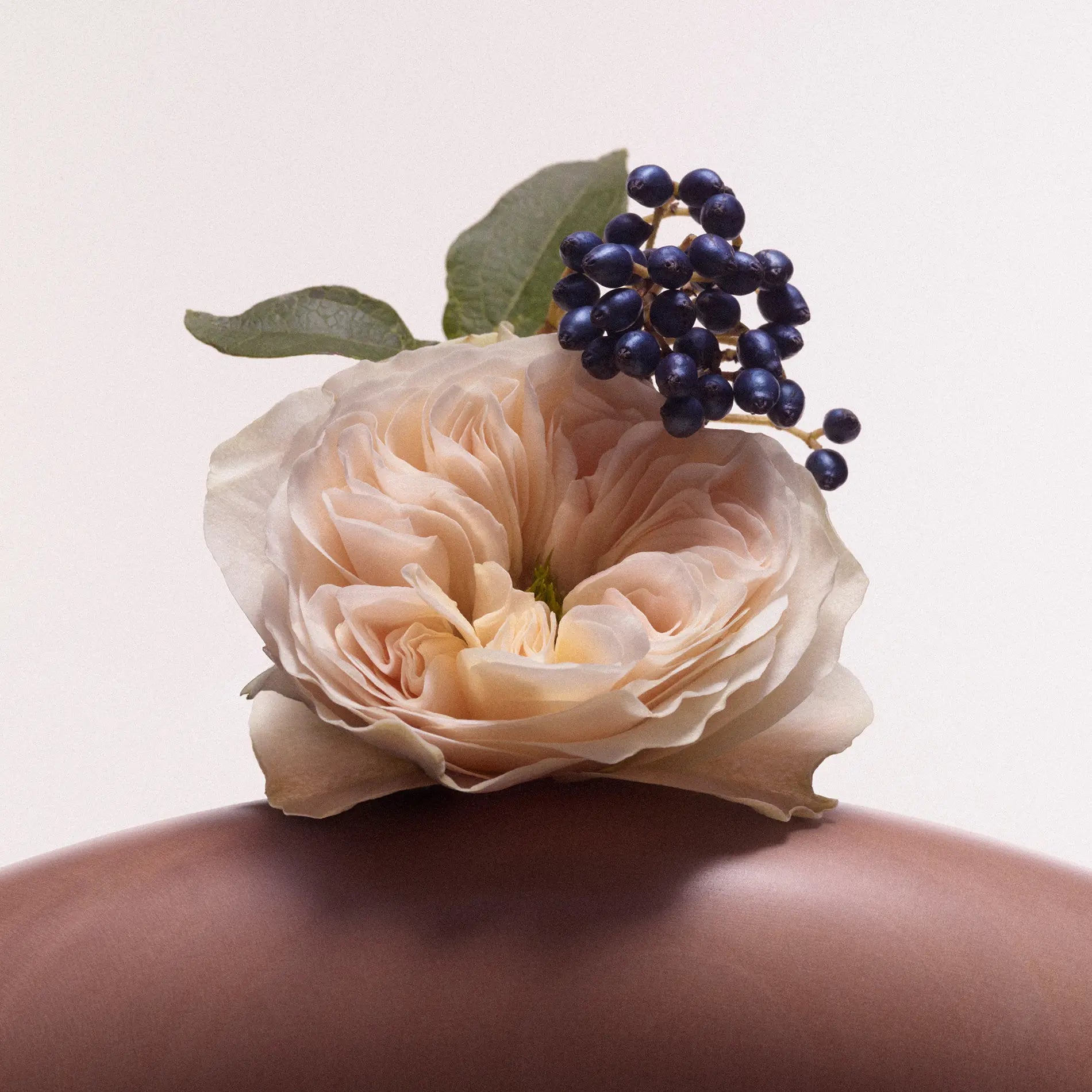Rose Inc Resurfacing & Balancing Body Polish